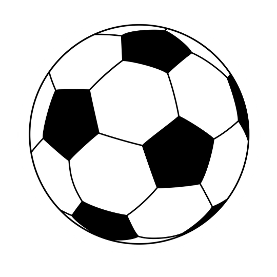 Ballon de football noir et blanc